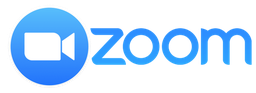 Zoom Pro (1M) official logo